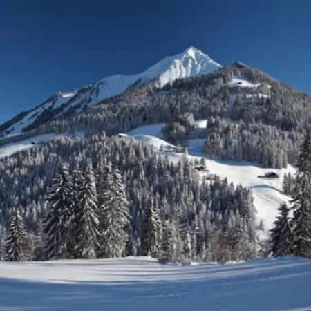 De Gasthof 2*
